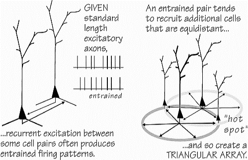 2 PTN's ring of excitation