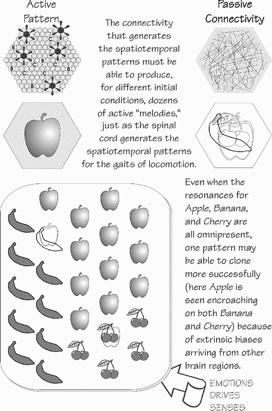 Hebbian duality of memory