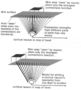 funnel