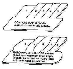 3rd finger exercise