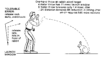 launch window for rabbit target