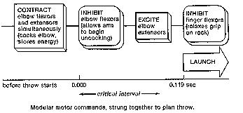 motor commands
